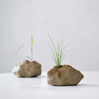 Two stone-like planters with grass growing out of them on a white background