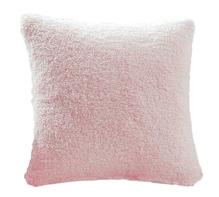 Plush Teddy Cushion Cover