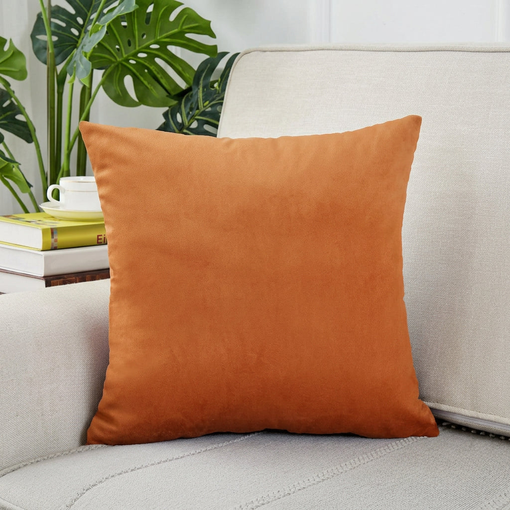 Orange pillow on a sofa with books and a plant in the background