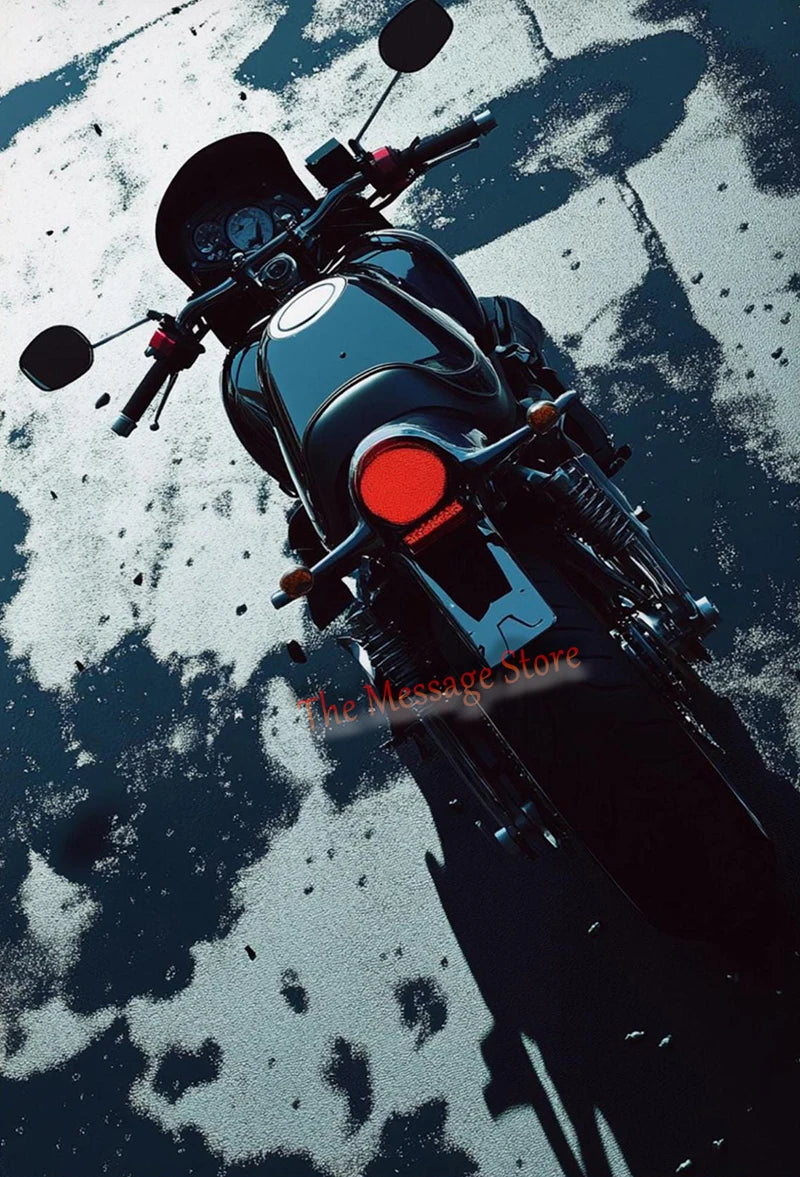 Rider Silhouette Canvas Print