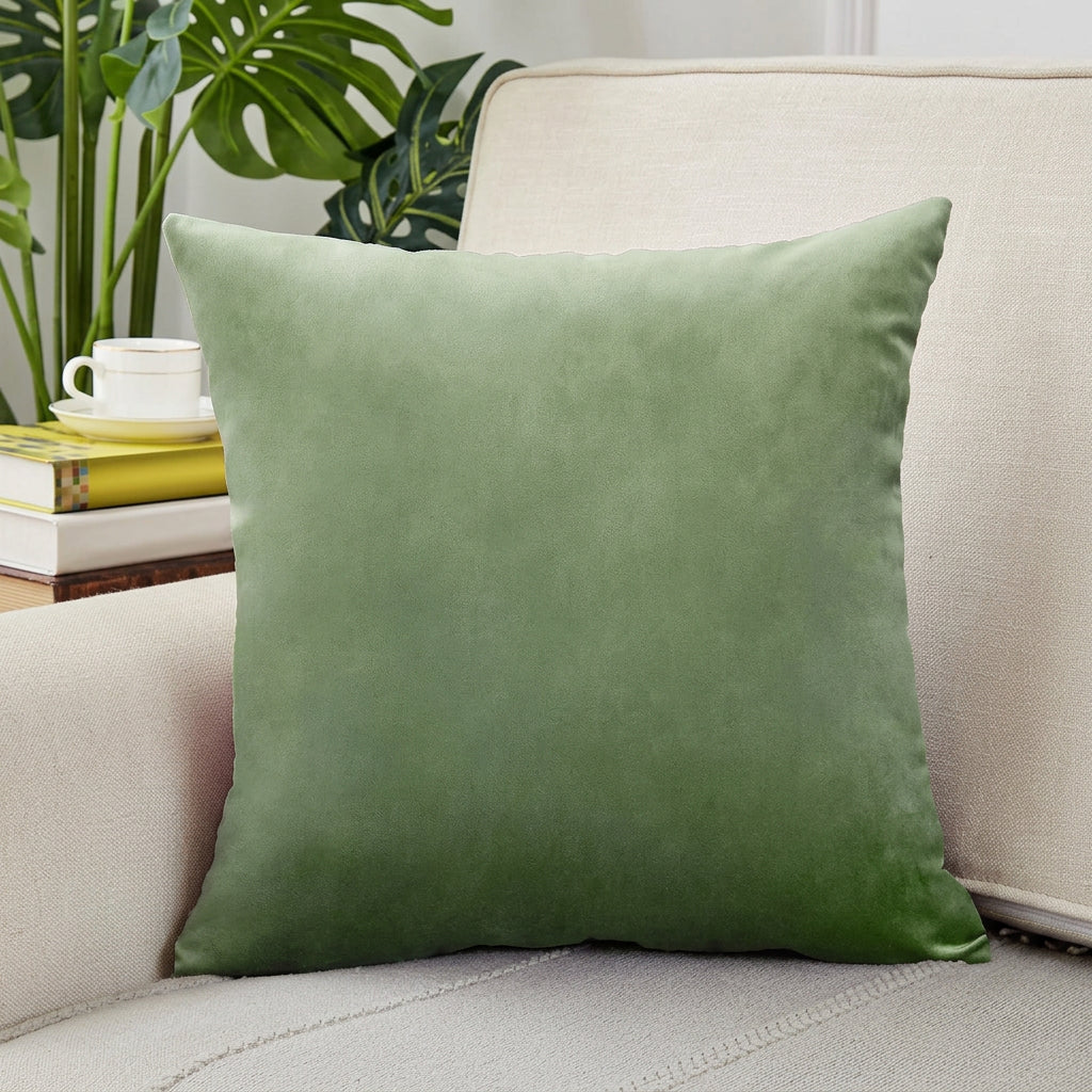 Green pillow on a sofa with books and a plant in the background