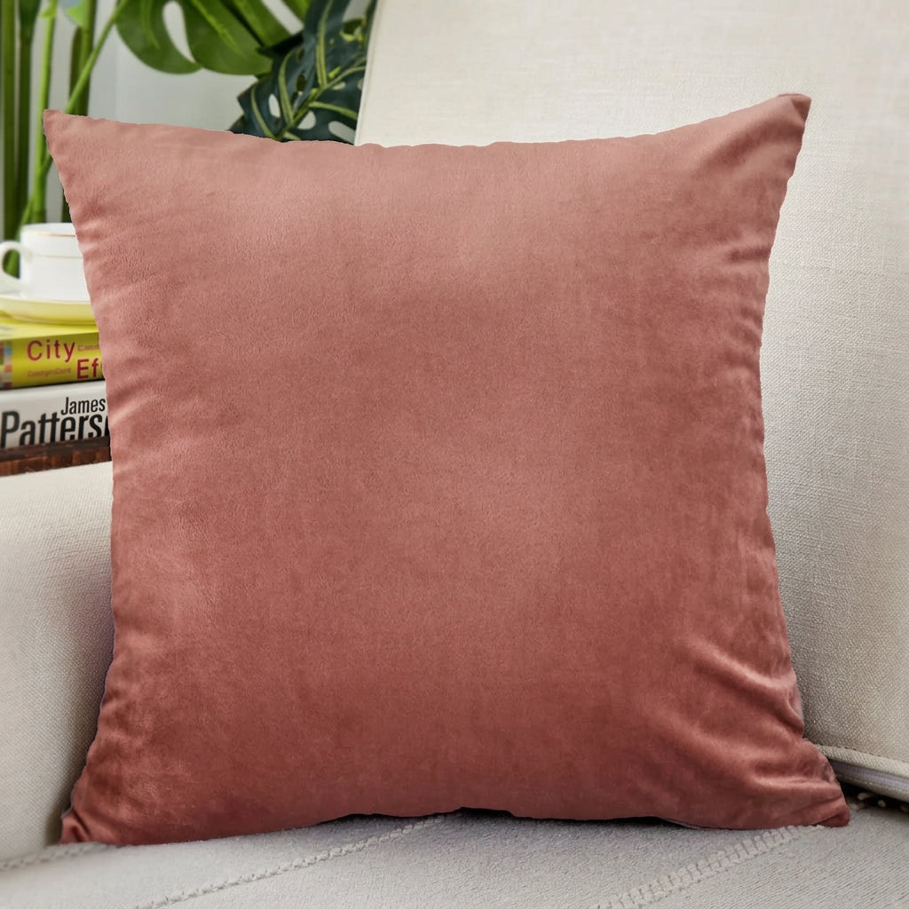 Pink pillow on a couch with books and a plant in the background